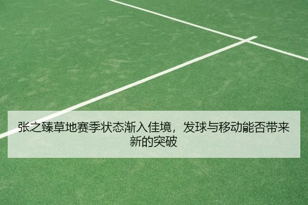 张之臻草地赛季状态渐入佳境，发球与移动能否带来新的突破